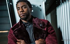 Chadwick Boseman - late American actor & producer (November 29, 1976 - August 28, 2020)